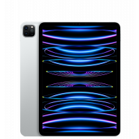 iPad Pro 4 11" 256GB WiFi + Cellular